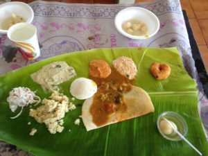 All the food we ate, not including the biryani and the puri—so much food!